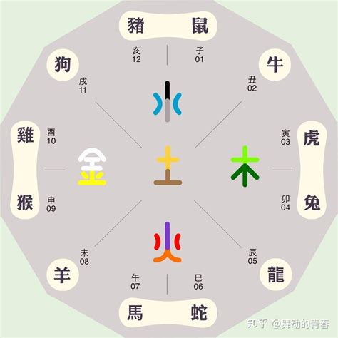 辰的五行